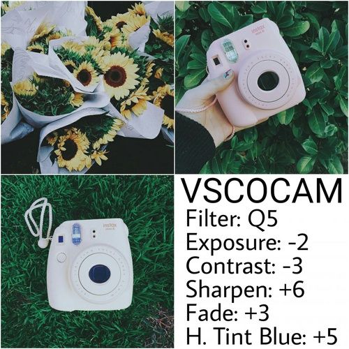 Image result for polaroid filter vsco Vsco filter Vsco tutorial