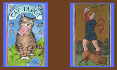 I will draw tarot card tarot card design zodiac dark art playing cards greeting cards