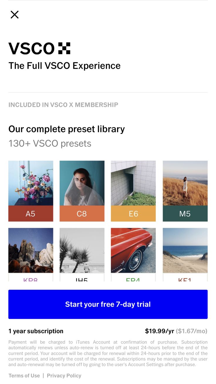 Understanding the Cost of a VSCO Subscription