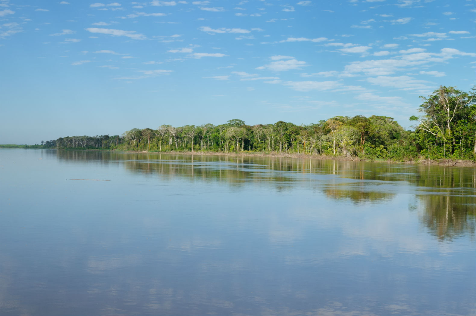 Discovering the Length of the Amazon River