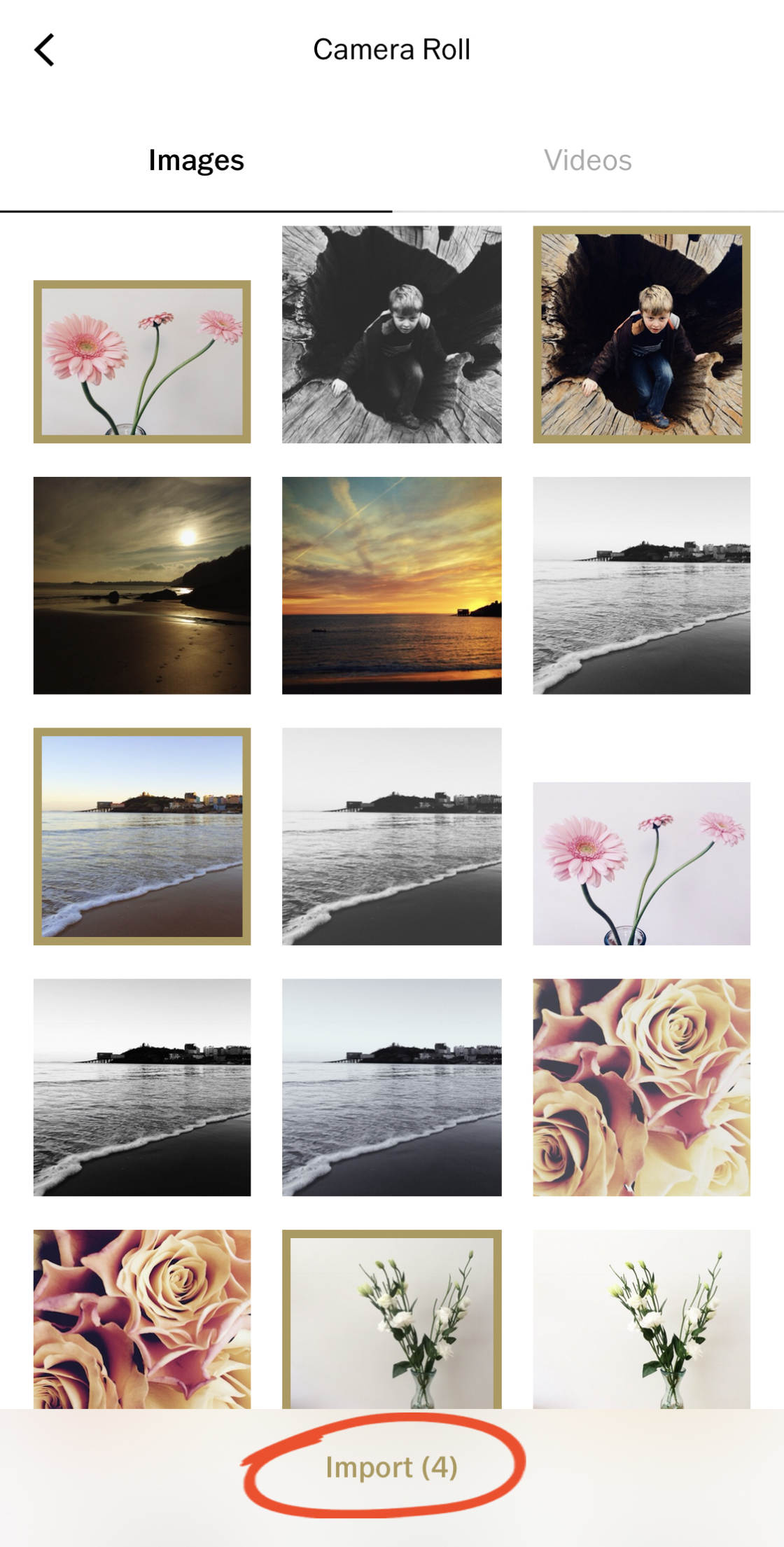 Edit Image on VSCO for Stunning Results