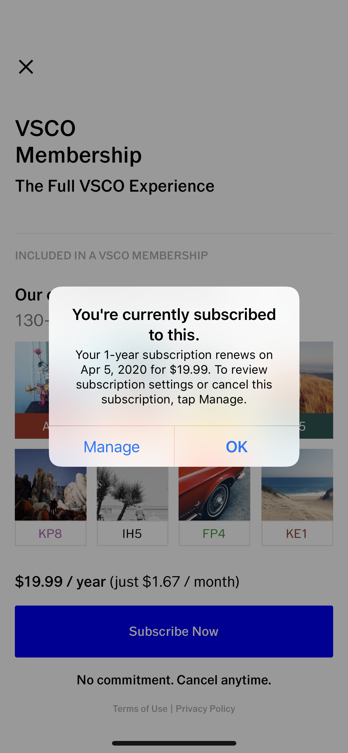 How to Manage Your VSCO Subscription