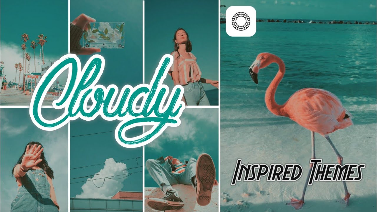 How to Get a Moody Picture in VSCO