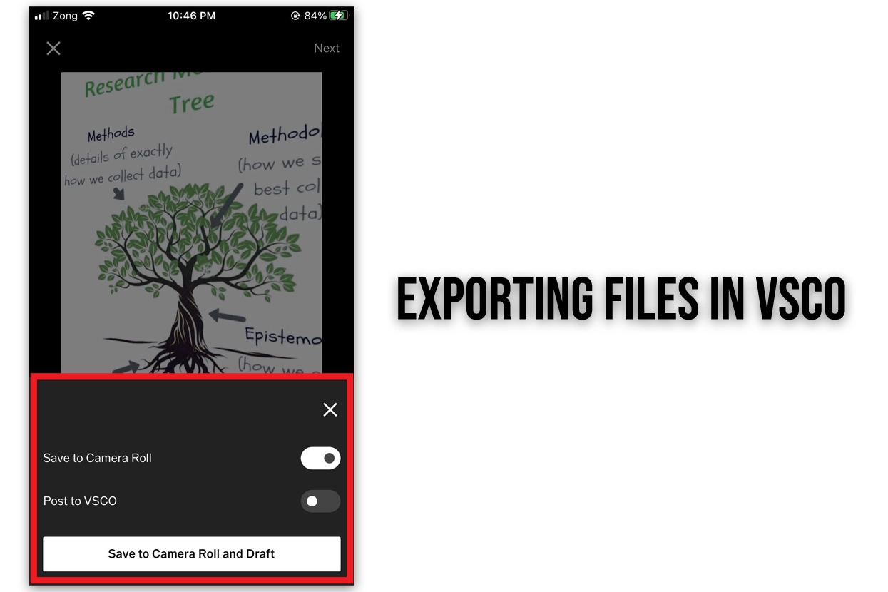 Ultimate Guide to VSCO Image Exporter
