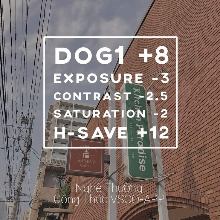 Ultimate VSCO Tips for Stunning Photography