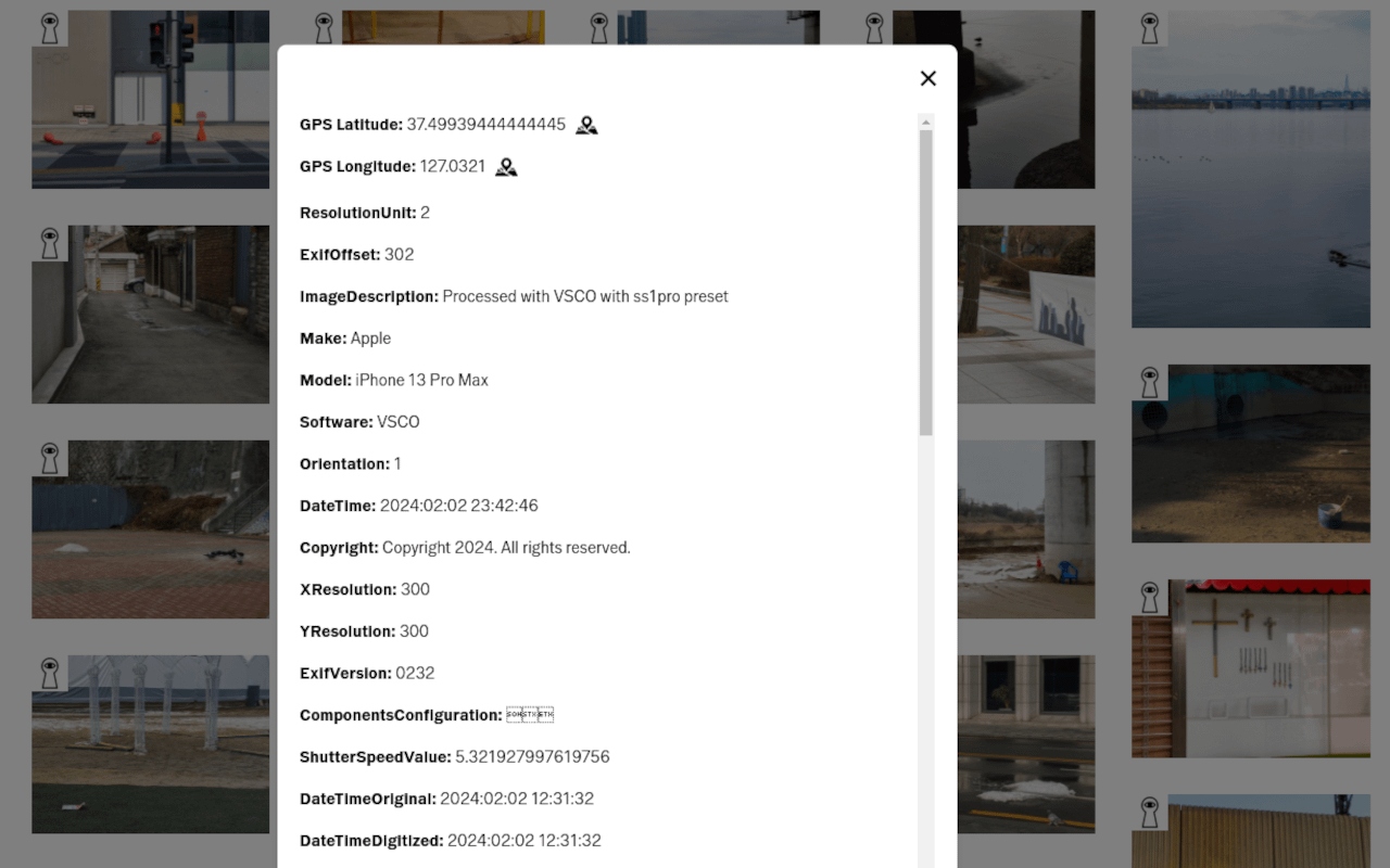 Ultimate Guide to the VSCO Data Transfer Tool
