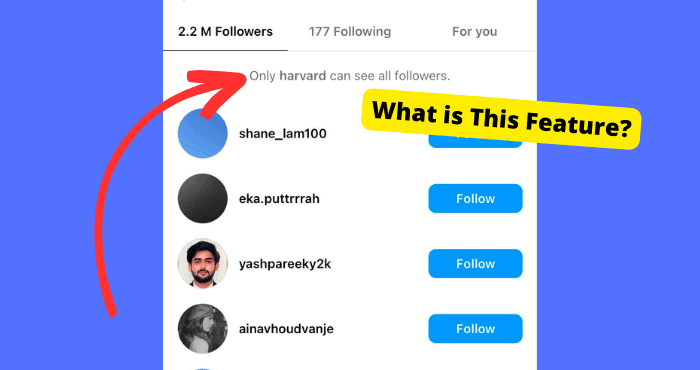 How to See Who Follows You on VSCO  Vergizmo