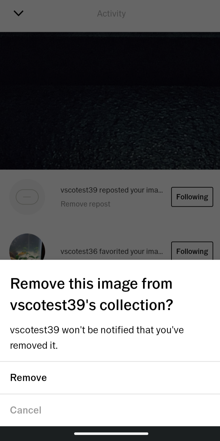 How to Delete VSCO Notifications