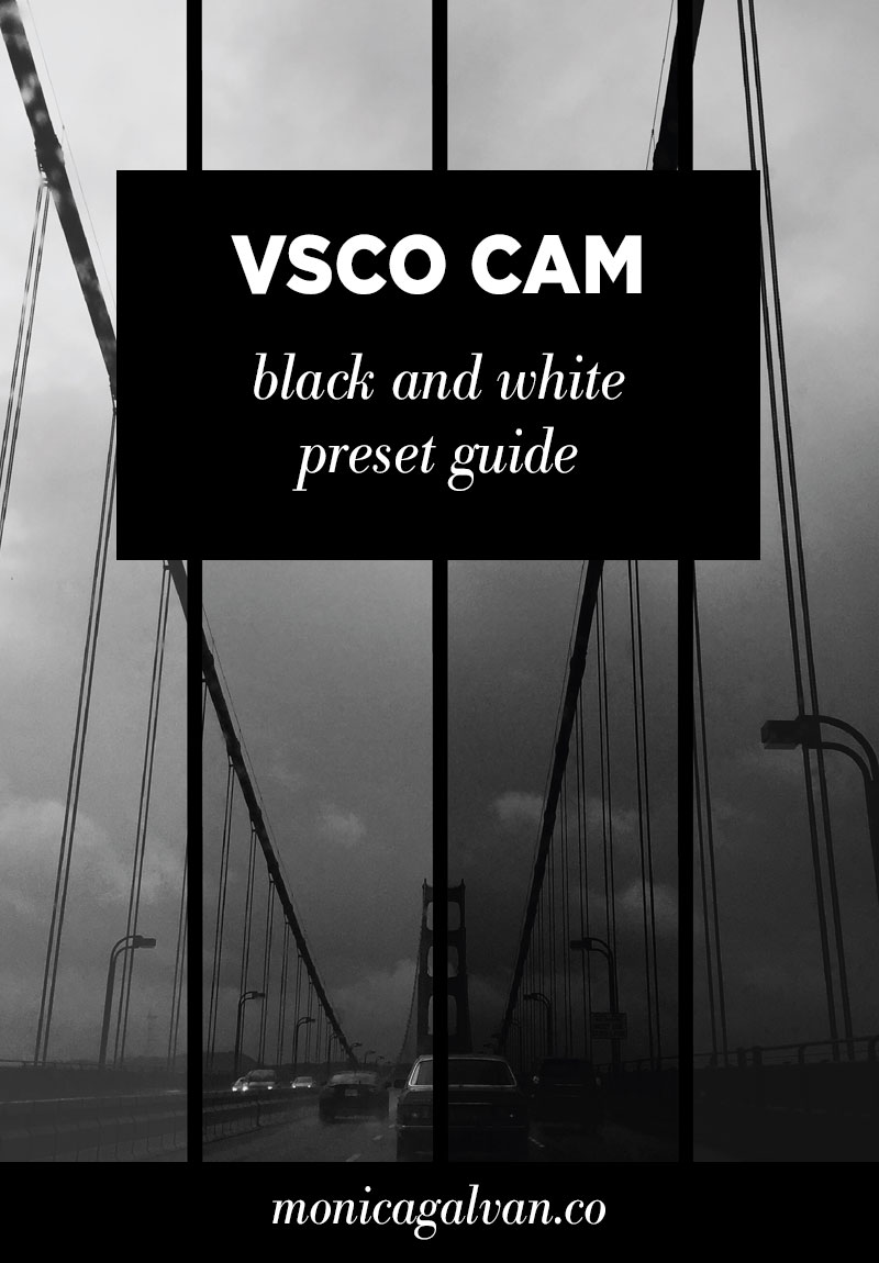 Vsco Filter Presets  KnowNeet