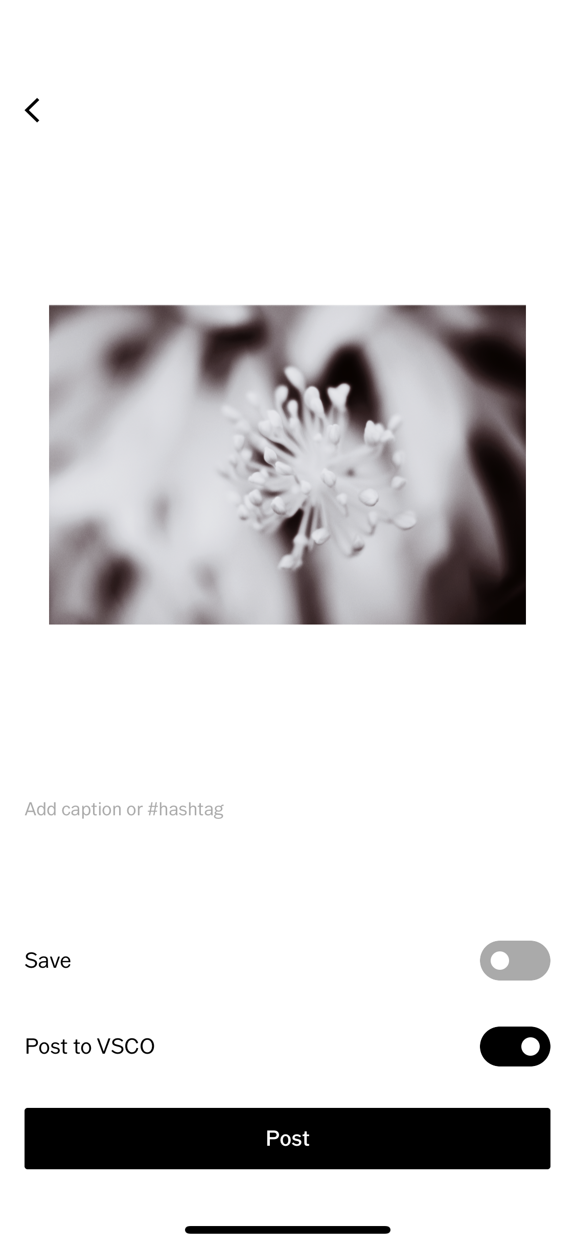 How to Use a VSCO Profile Viewer for Enhanced Inspiration