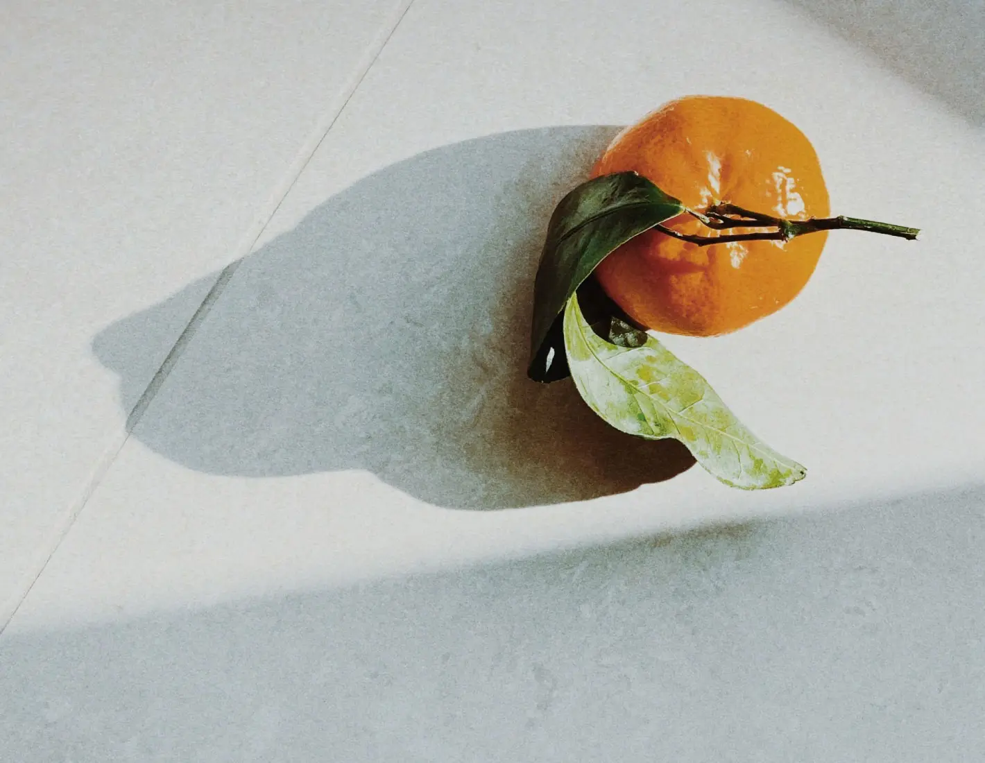 How To Start a Photography Business  VSCO Learn