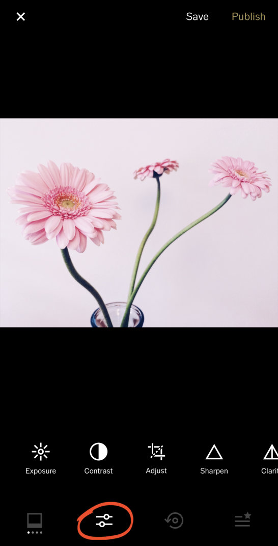 How To Use VSCO Filters To Create Beautiful iPhone Photos