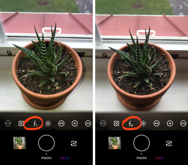 Tips on How to Take a Good Picture for VSCO