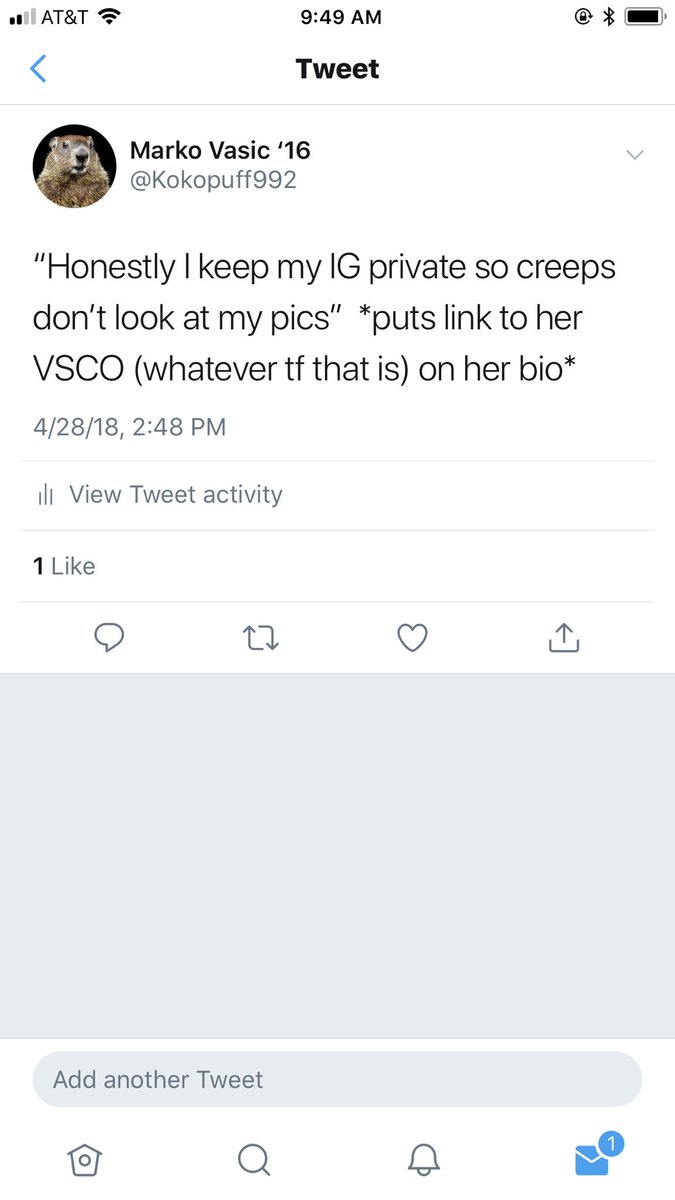 How To Copy Your Vsco Link How Do I Copy And Paste My Edits The Vsco