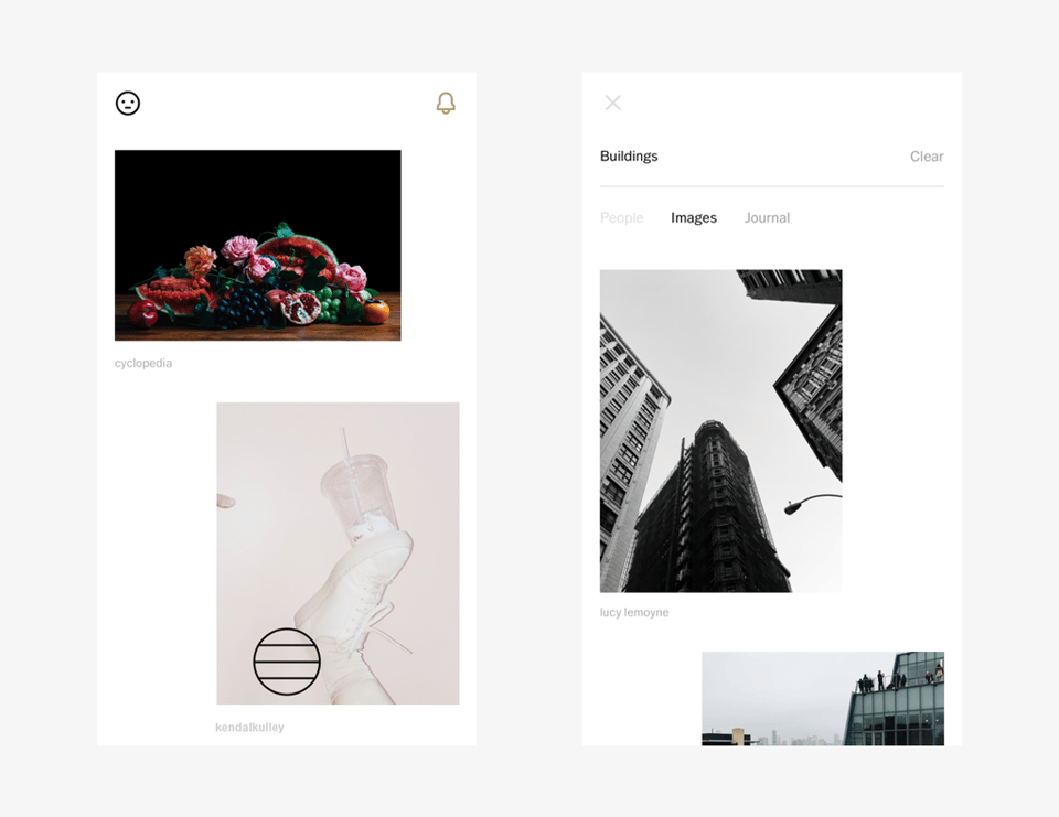 Exploring VSCO for Multimedia Sharing
