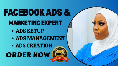 I will set up FB Ads, Facebook Ads Campaign, Meta Ads Editor, and Fix Facebook