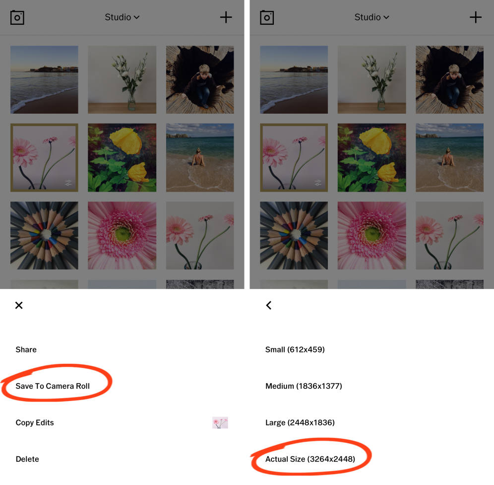 How to Use VSCO Filters Without Paying