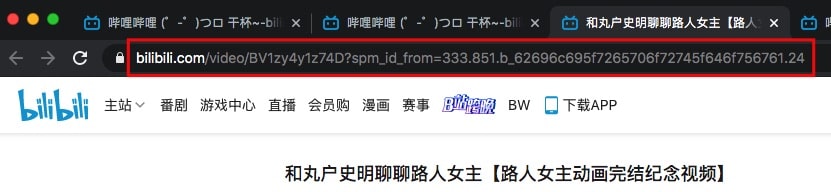 Solved How to Download Bilibili Videos in 1080P with Audio