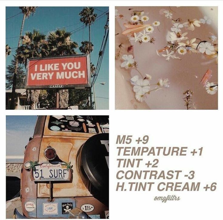How to Make Pictures Look Vintage on VSCO