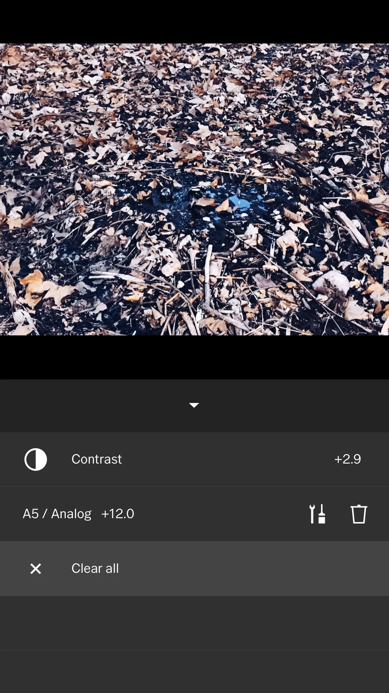 Ultimate Guide to VSCO Image Optimization