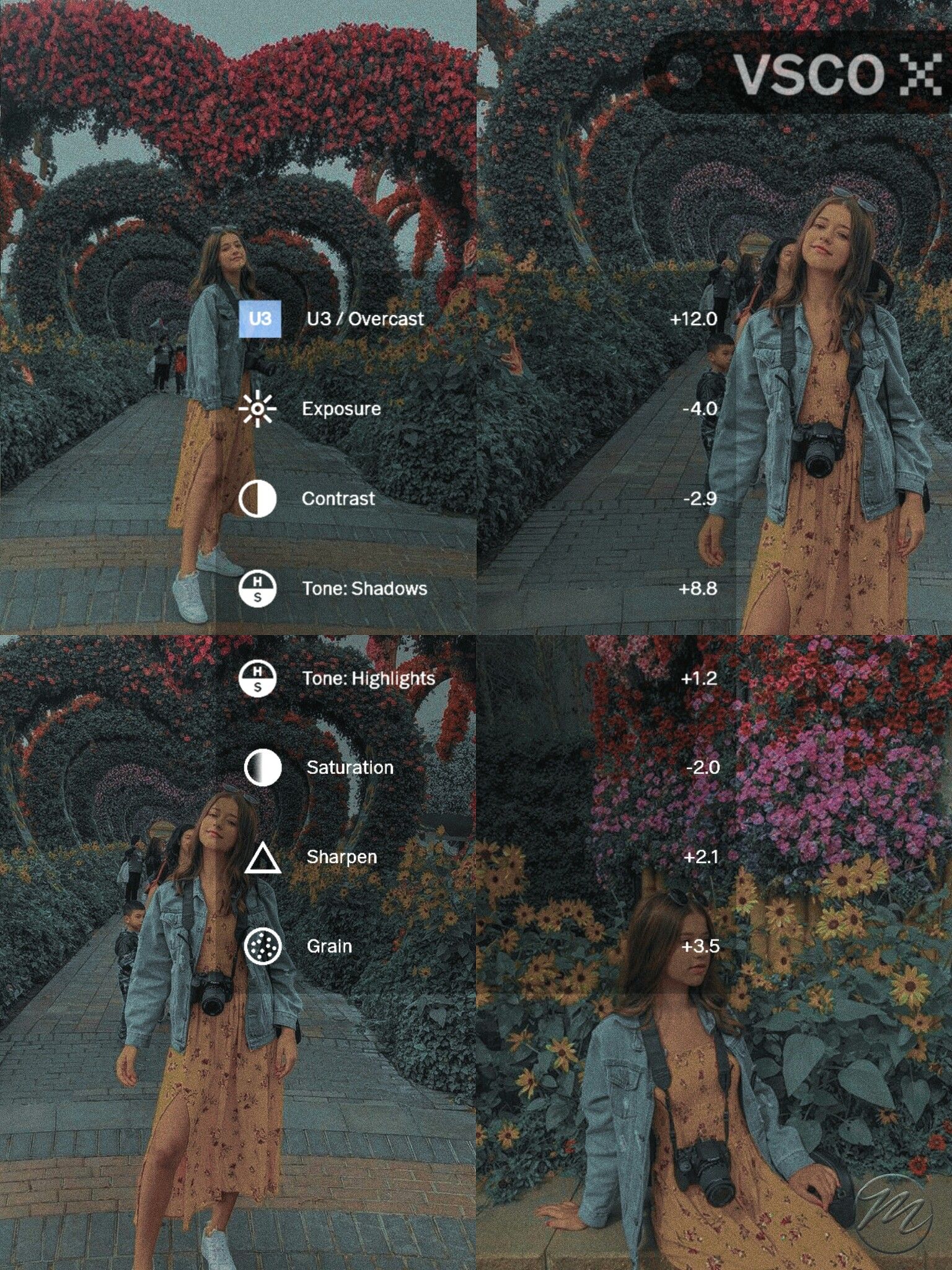 Mastering VSCO Photography Techniques