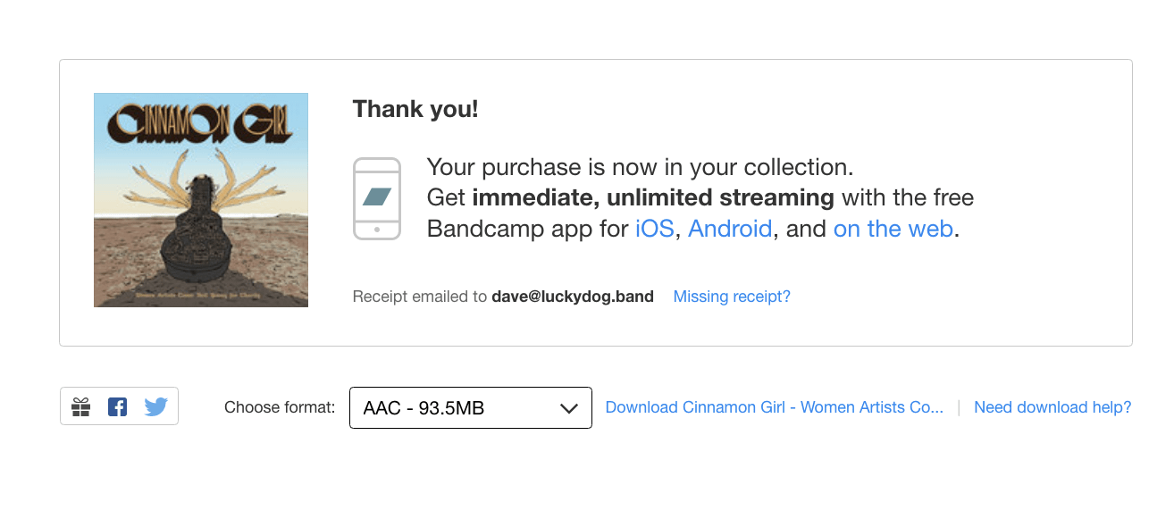 Download options  rBandCamp