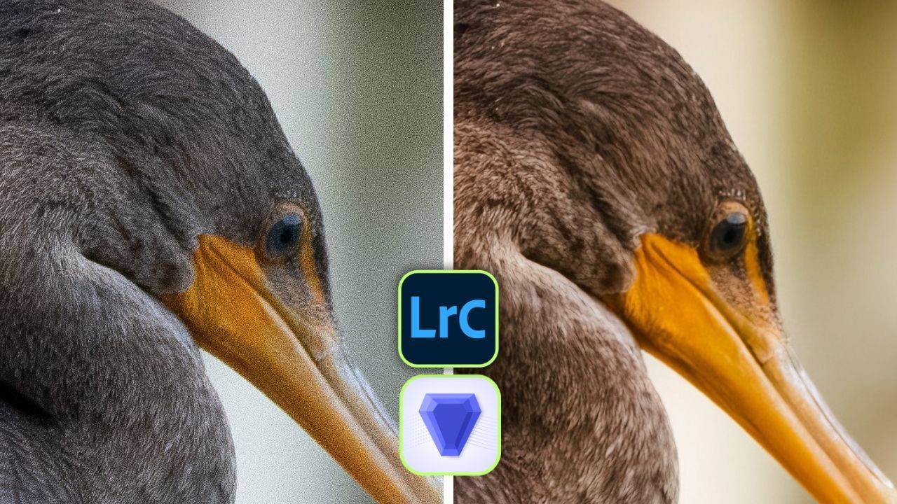 Ultimate Guide to VSCO Noise Reduction Techniques