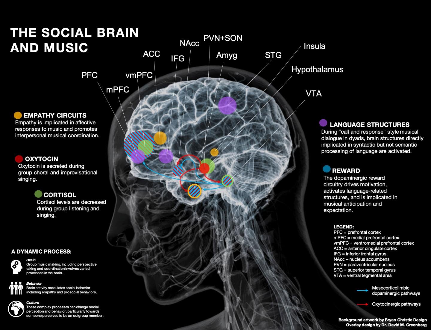 What happens in the brain when people make music together