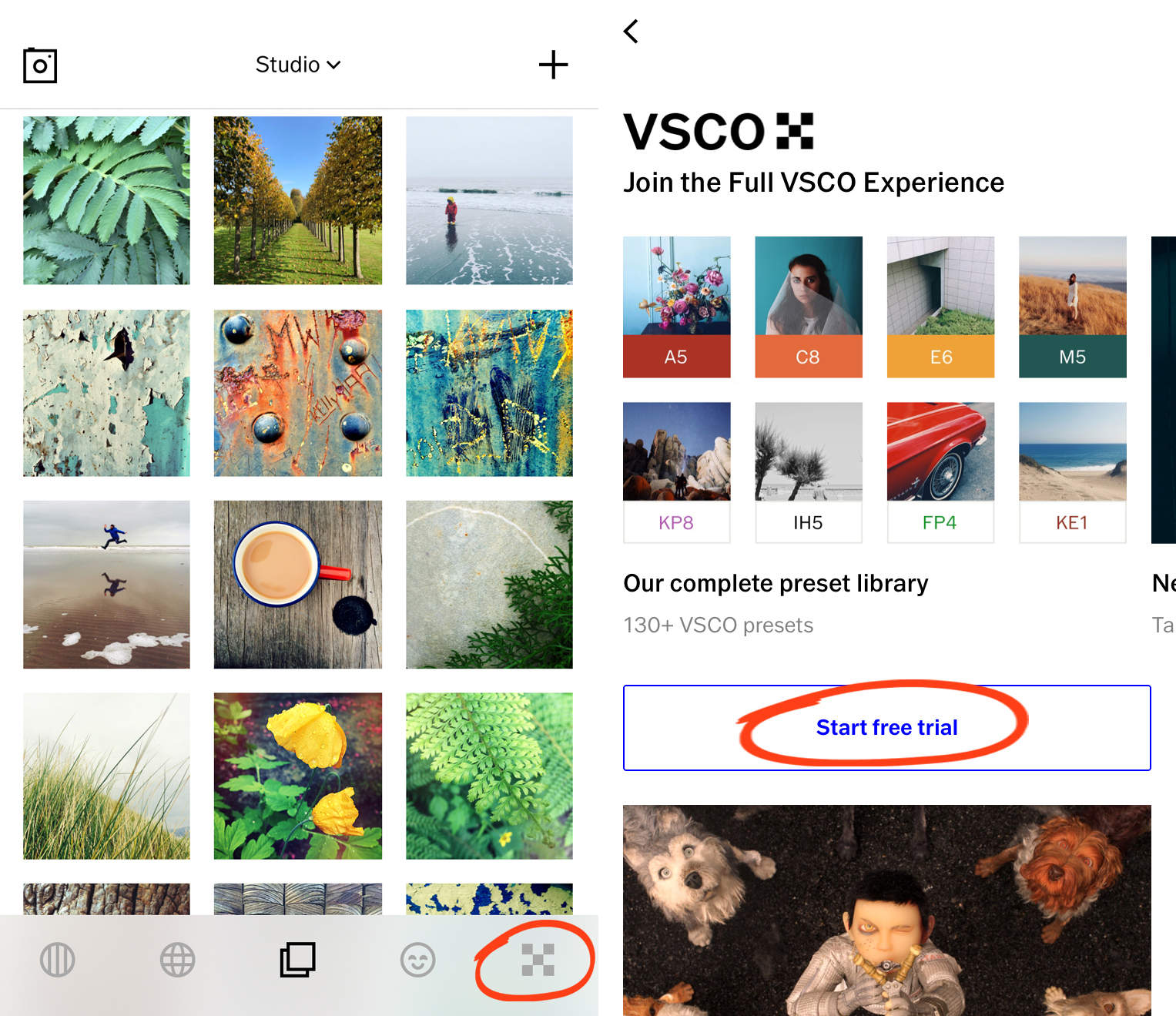 How To Use VSCO App To Shoot  Edit Beautiful iPhone Photos