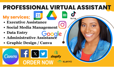 I will be Executive Administrative Virtual Assistant, Social Media Management, Data Entry
