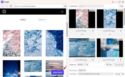 How to Use VSCO Photo Downloader
