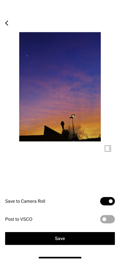 Ultimate Guide to VSCO Photo Saving Tool