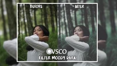 How to Get a Moody Picture in VSCO