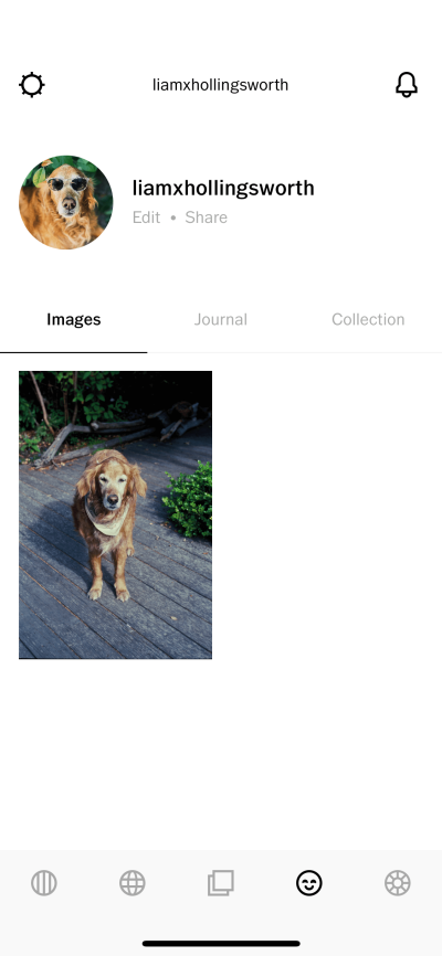 How to View VSCO Profile Picture