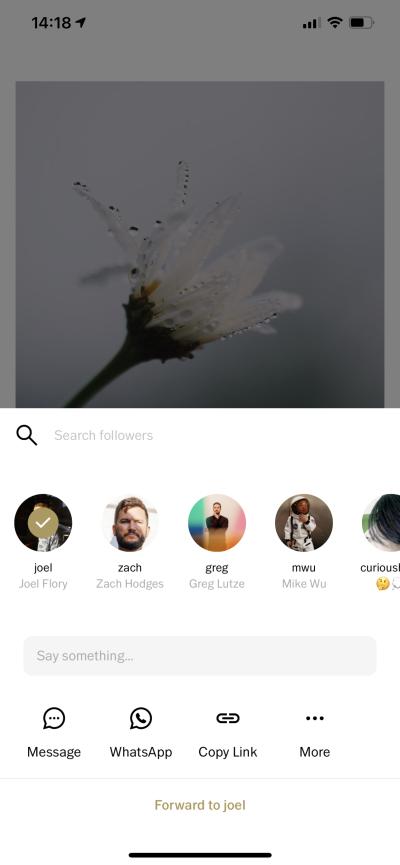 Ultimate Guide to Using a VSCO Image Downloader