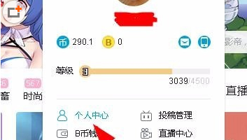 Understanding the Requirements for a Bilibili Username