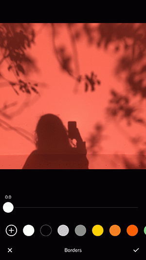 Ultimate Guide to VSCO GIF Creation