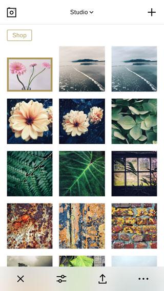 How to Use VSCO Filters Without Paying