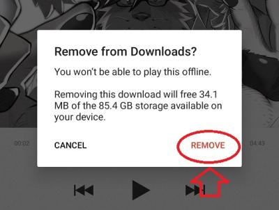 How to Delete Your Track from Bandcamp