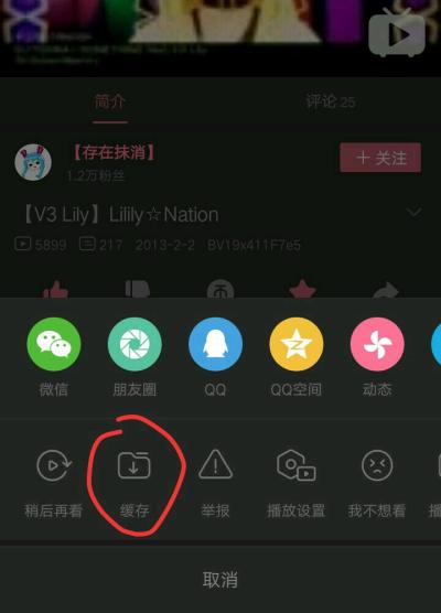 Step by Step Guide to Downloading Songs from Bilibili