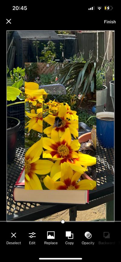 How to Get We the Creators on VSCO