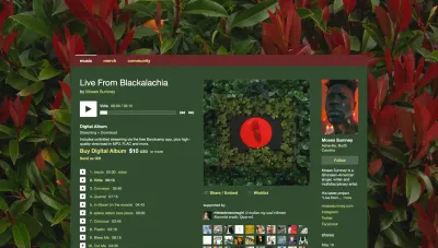 Understanding Bandcamp Follower Insights to Boost Your Music Career