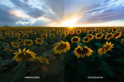 How to Use VSCO to Make Pictures Look Like Film