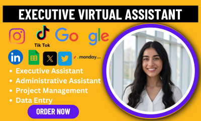 I Will Be Your Personal Executive Administrative Virtual Assistant & Social Media Manager