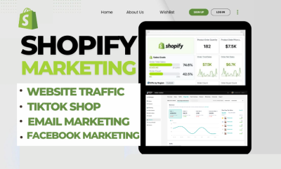 I will do Shopify Ecommerce Marketing with Business Ads