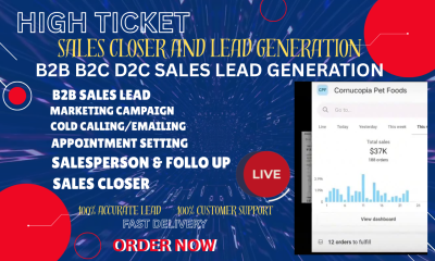 I will do sales closer online sales B2B sales lead high ticket sales representative