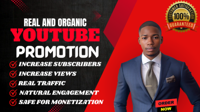 I will do super fast organic YouTube video promotion