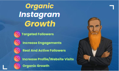 Provide Fast Organic Instagram Growth with Real Followers and Engagement