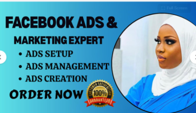 I will set up FB Ads, Facebook Ads Campaign, Meta Ads Editor, and Fix Facebook