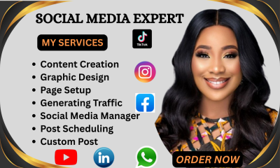 I will be your social media marketing manager, content creator and ads expert
